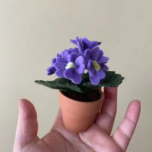 Load image into Gallery viewer, Macrame & Felt Botanical Creations (Store)