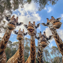 Load image into Gallery viewer, Animal Inspired Sign Decor