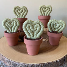 Load image into Gallery viewer, Macrame & Felt Botanical Creations (Store)