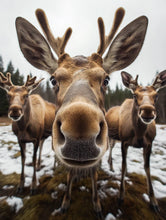 Load image into Gallery viewer, Animal Inspired Sign Decor