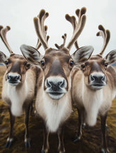 Load image into Gallery viewer, Animal Inspired Sign Decor