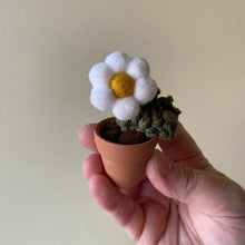 Load image into Gallery viewer, Macrame & Felt Botanical Creations (Store)