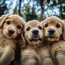 Load image into Gallery viewer, Animal Inspired Sign Decor