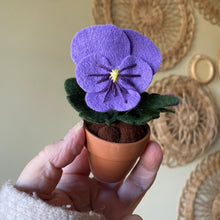 Load image into Gallery viewer, Macrame & Felt Botanical Creations (Store)