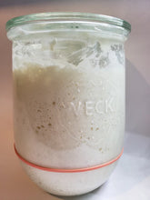 Load image into Gallery viewer, Summit Sourdough Starter