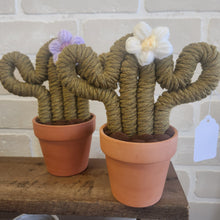 Load image into Gallery viewer, Macrame & Felt Botanical Creations (Store)