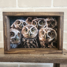 Load image into Gallery viewer, Animal Inspired Sign Decor