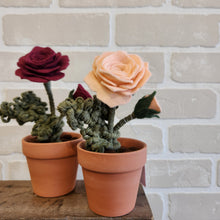 Load image into Gallery viewer, Macrame & Felt Botanical Creations (Store)