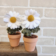 Load image into Gallery viewer, Macrame & Felt Botanical Creations (Store)