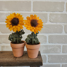 Load image into Gallery viewer, Macrame & Felt Botanical Creations (Store)