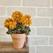 Load image into Gallery viewer, Macrame & Felt Botanical Creations (Store)