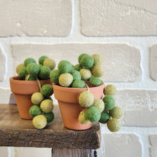 Load image into Gallery viewer, Macrame & Felt Botanical Creations (Store)