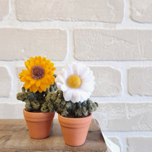 Load image into Gallery viewer, Macrame & Felt Botanical Creations (Store)