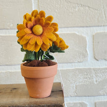 Load image into Gallery viewer, Macrame & Felt Botanical Creations (Store)