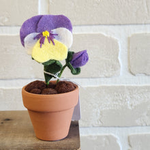 Load image into Gallery viewer, Macrame & Felt Botanical Creations (Store)
