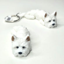 Load image into Gallery viewer, 3D Printed Dog & Cat Toys