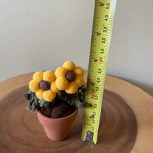 Load image into Gallery viewer, Macrame & Felt Botanical Creations (Store)