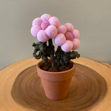 Load image into Gallery viewer, Macrame & Felt Botanical Creations (Store)