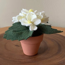 Load image into Gallery viewer, Macrame & Felt Botanical Creations (Store)