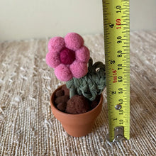 Load image into Gallery viewer, Macrame & Felt Botanical Creations (Store)