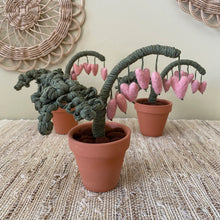 Load image into Gallery viewer, Macrame & Felt Botanical Creations (Store)