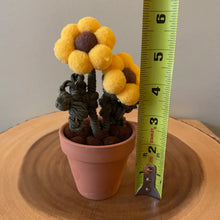 Load image into Gallery viewer, Macrame & Felt Botanical Creations (Store)