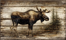 Load image into Gallery viewer, Animal Inspired Sign Decor