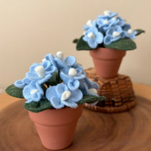 Load image into Gallery viewer, Macrame & Felt Botanical Creations (Store)
