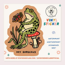 Load image into Gallery viewer, Vinyl Stickers (Stay Home Club)