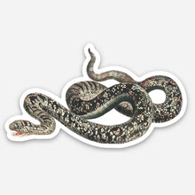 Load image into Gallery viewer, Vinyl Stickers (Stay Home Club)