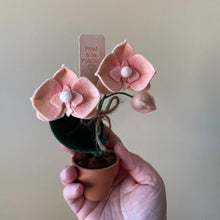 Load image into Gallery viewer, Macrame & Felt Botanical Creations (Store)