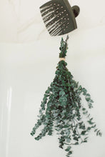 Load image into Gallery viewer, Preserved Eucalyptus & Greens