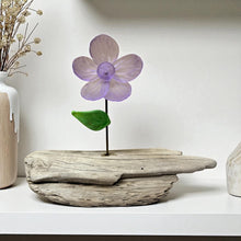 Load image into Gallery viewer, Glassware Art