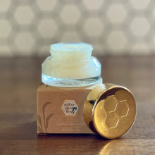 Load image into Gallery viewer, Willow Street Bees Lip Scrub