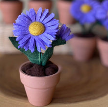 Load image into Gallery viewer, Macrame & Felt Botanical Creations (Store)