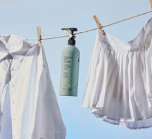 Load image into Gallery viewer, Guests on Earth Laundry Detergent
