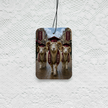 Load image into Gallery viewer, Air Fresheners