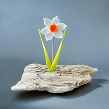 Load image into Gallery viewer, Glassware Art
