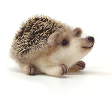 Load image into Gallery viewer, Needle Felting Craft Kit