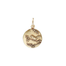 Load image into Gallery viewer, Medallion Charms