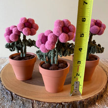 Load image into Gallery viewer, Macrame & Felt Botanical Creations (Store)