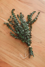 Load image into Gallery viewer, Preserved Eucalyptus & Greens