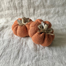 Load image into Gallery viewer, Rope Pumpkin s