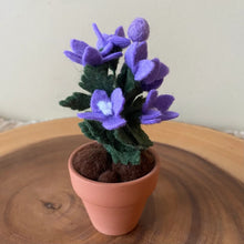 Load image into Gallery viewer, Macrame & Felt Botanical Creations (Store)