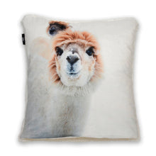 Load image into Gallery viewer, KOUSA Cushion Blankets