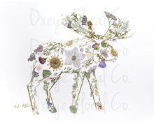 Load image into Gallery viewer, Oxeye Floral 5x7 Art Print