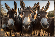 Load image into Gallery viewer, Animal Inspired Sign Decor