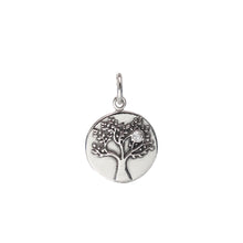Load image into Gallery viewer, Medallion Charms