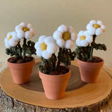 Load image into Gallery viewer, Macrame & Felt Botanical Creations (Store)