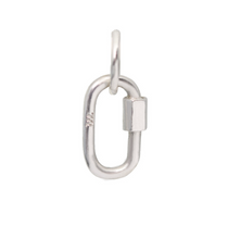Load image into Gallery viewer, Carabiner Charm